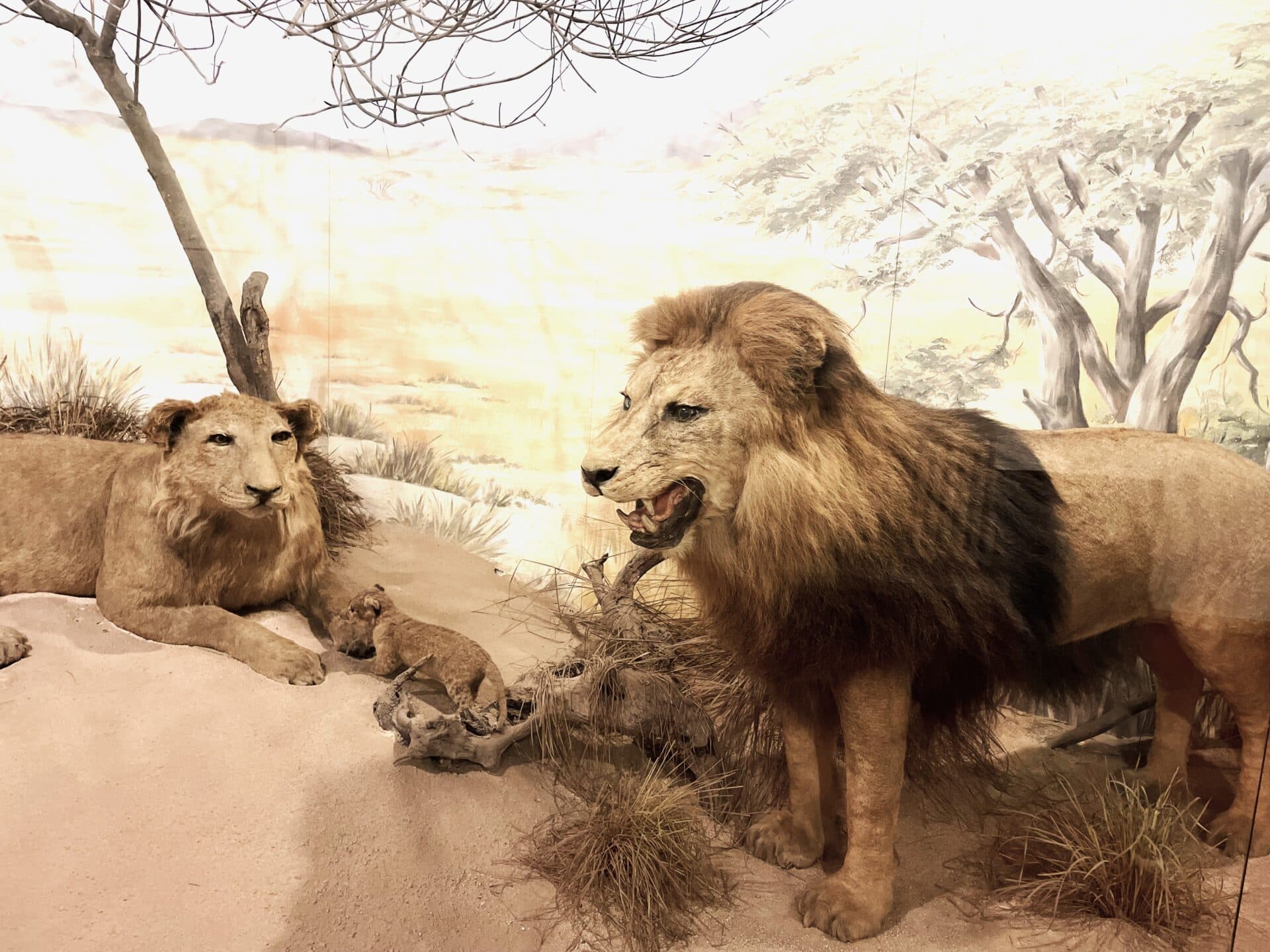 Teambuilding 2023 — Nezaboravna avantura u Istri - fotografija 3