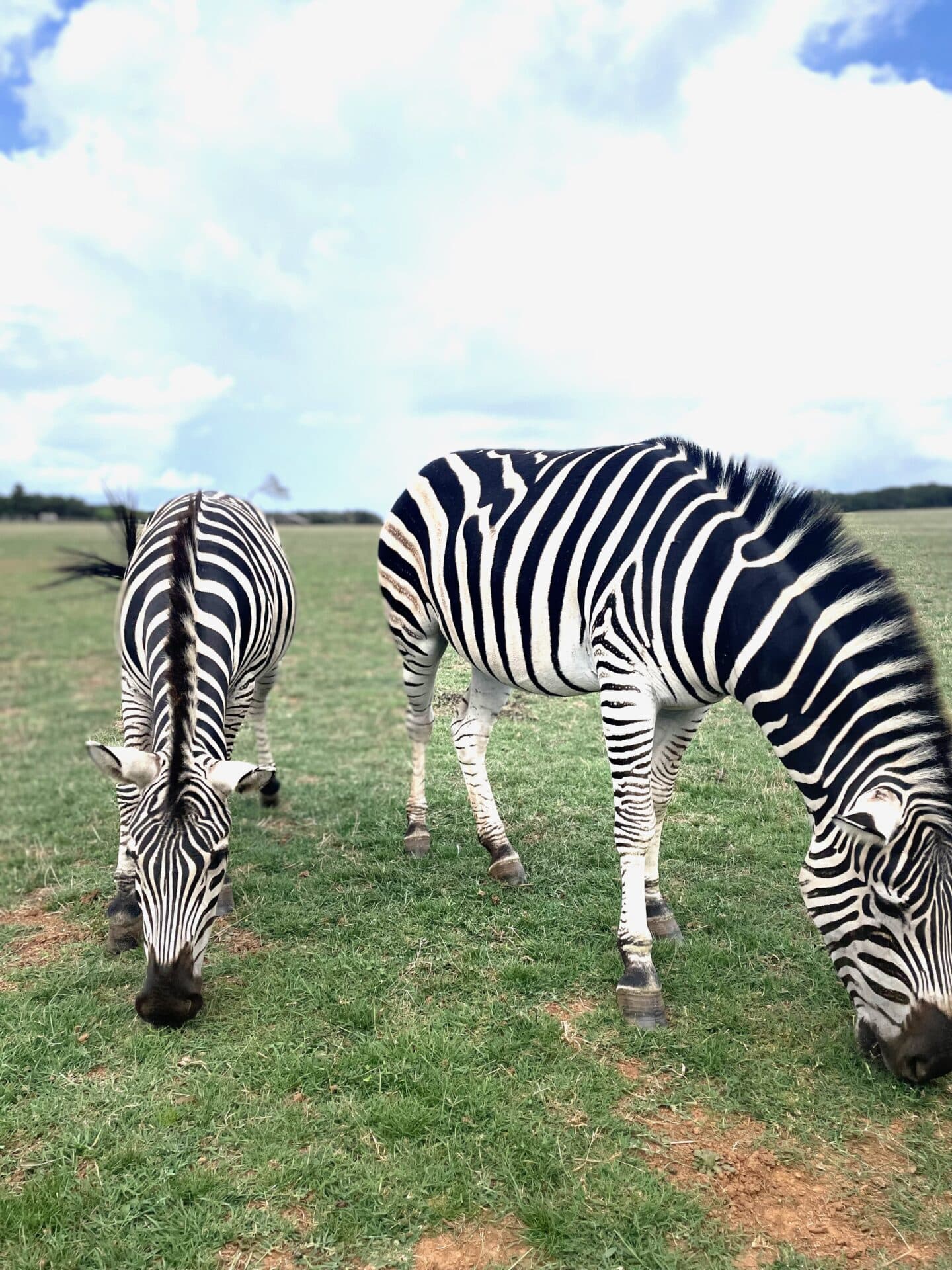 Teambuilding 2023 — Nezaboravna avantura u Istri - fotografija 4