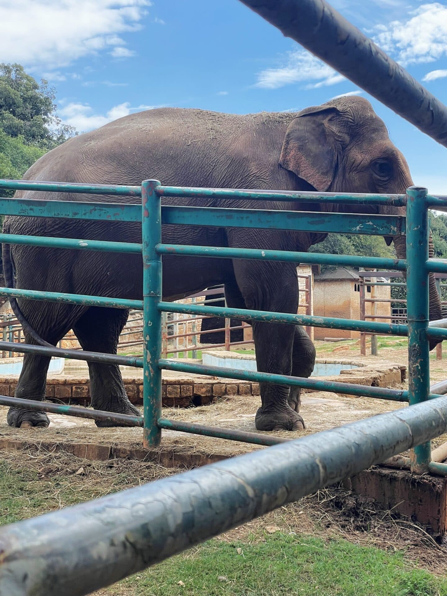 Teambuilding 2023 — Nezaboravna avantura u Istri - fotografija 6