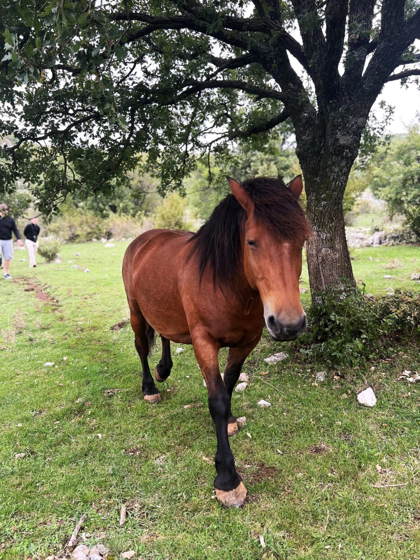 Teambuilding 2024 — Avantura na Velebitu - fotografija 3