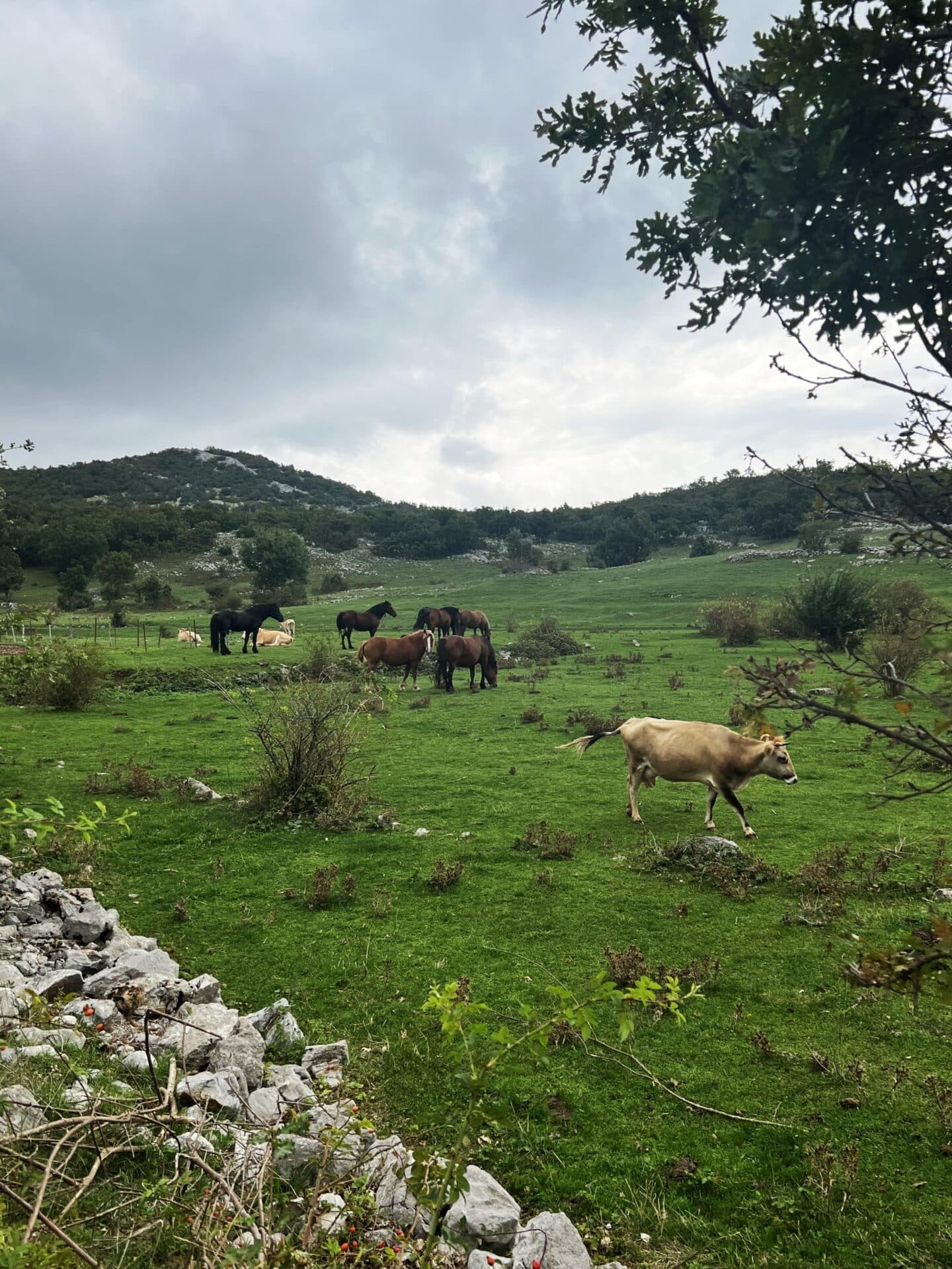 Teambuilding 2024 — Avantura na Velebitu - fotografija 4